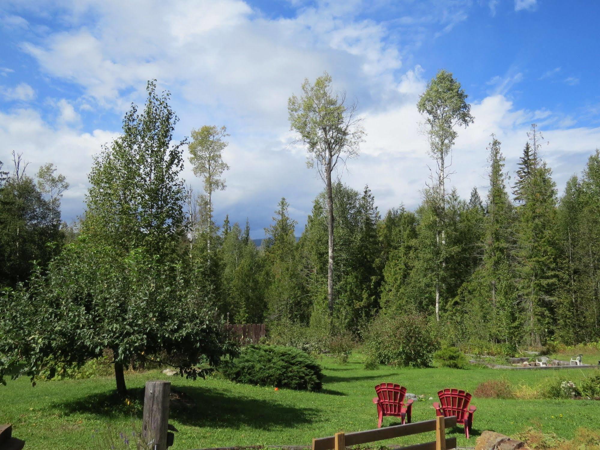 Cedar Haven Cabins And Resort Clearwater Buitenkant foto